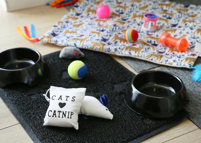 L'ethnique 7p - Climatisation - Jardin - Parking - Salle De Sport 아파트 툴루즈