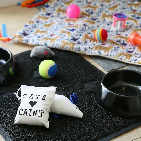 L'ethnique 7p - Climatisation - Jardin - Parking - Salle De Sport Διαμέρισμα Τουλούζη